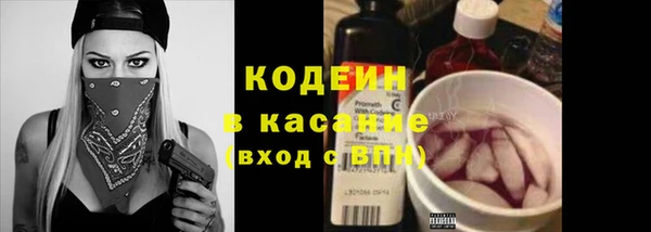 ешки Няндома