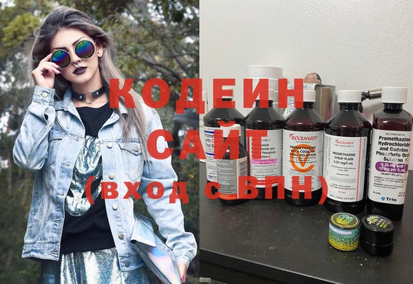 ешки Няндома