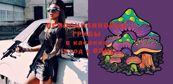 mdma Нязепетровск