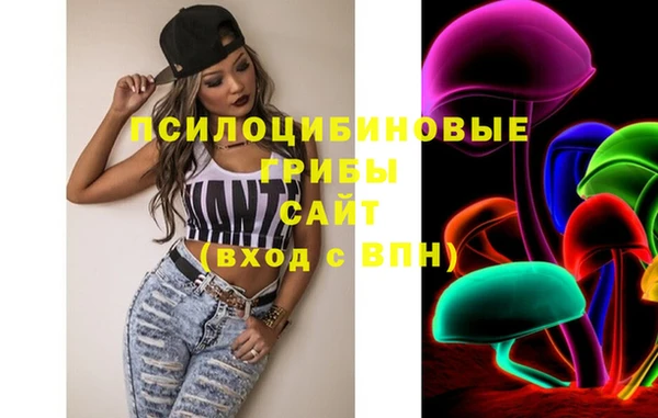 ALPHA-PVP Осинники