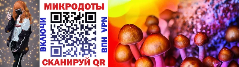 Галлюциногенные грибы ЛСД Пучеж